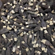 羊肚菌各种规格不同价格