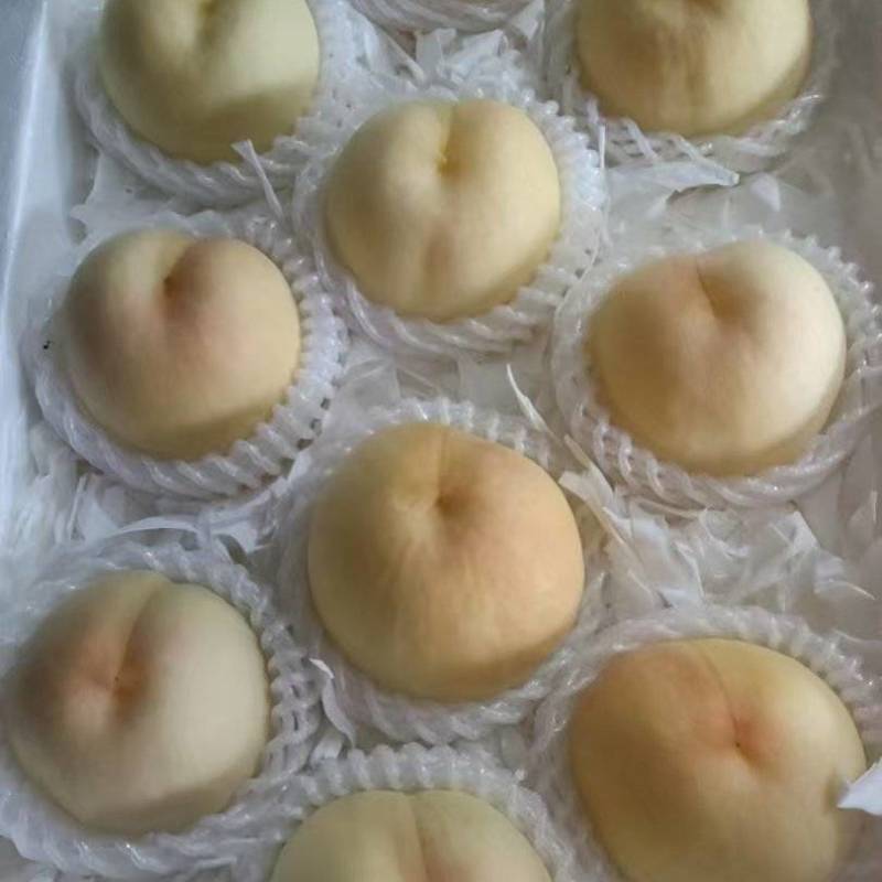 精品水蜜桃一手货源产地直发对接全国量大从优欢迎咨询