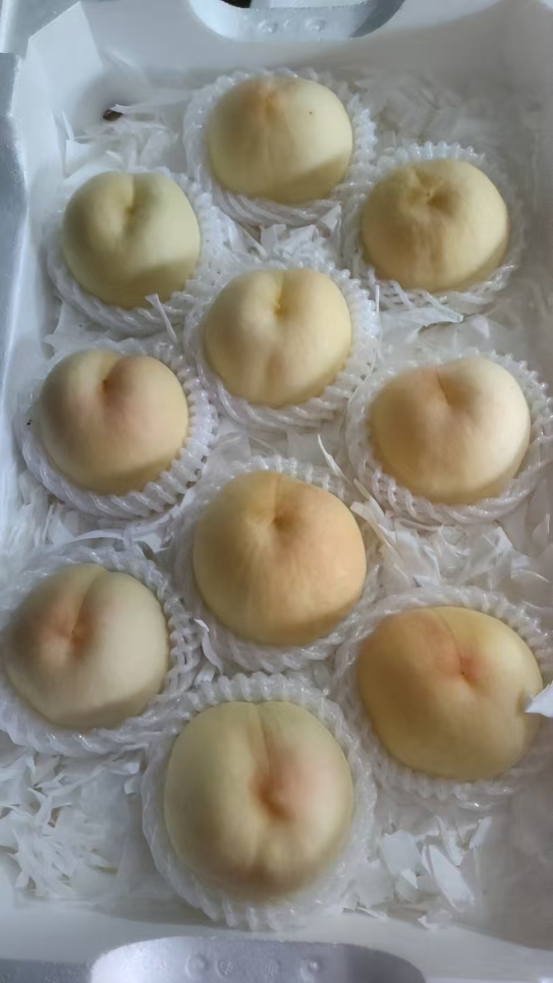 精品水蜜桃一手货源产地直发对接全国量大从优欢迎咨询