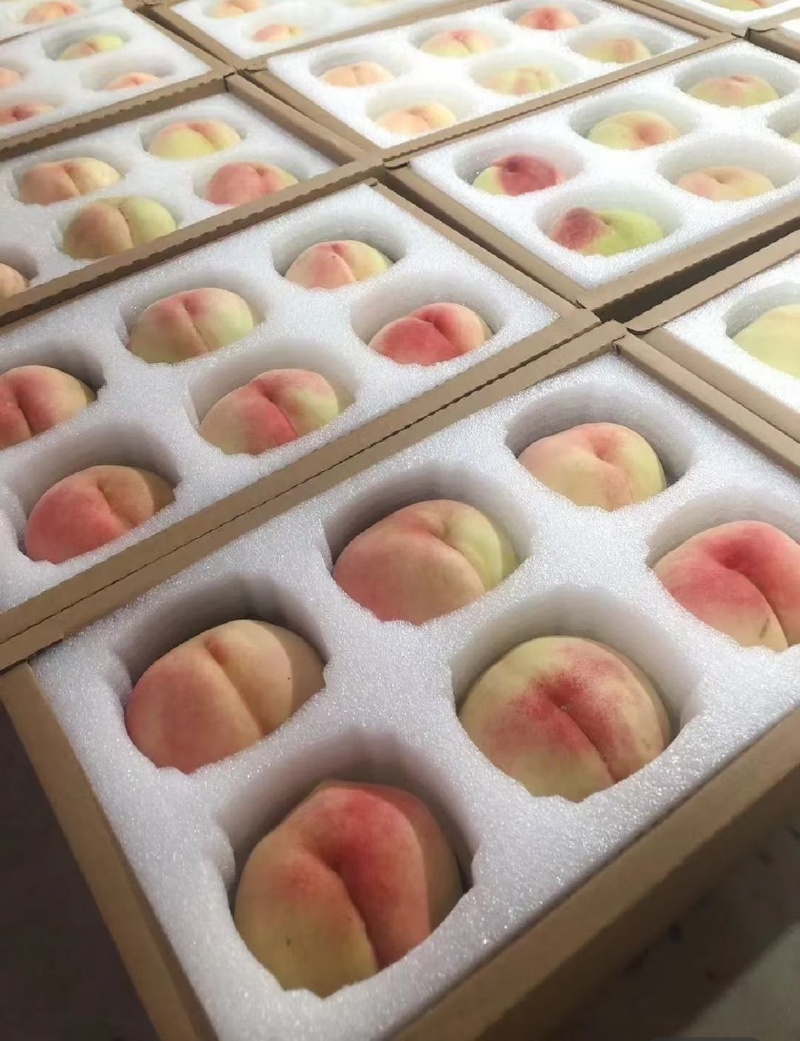 精品水蜜桃一手货源产地直发对接全国量大从优欢迎咨询