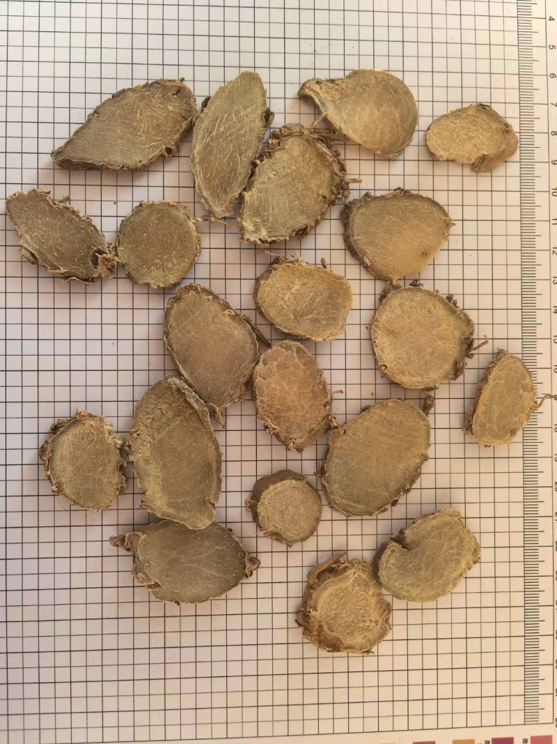 文竹莪术产地直销一手货源真实拍照，有现货24小时内发货