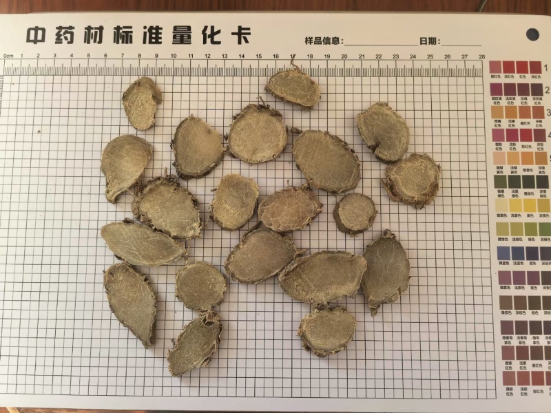 文竹莪术产地直销一手货源真实拍照，有现货24小时内发货