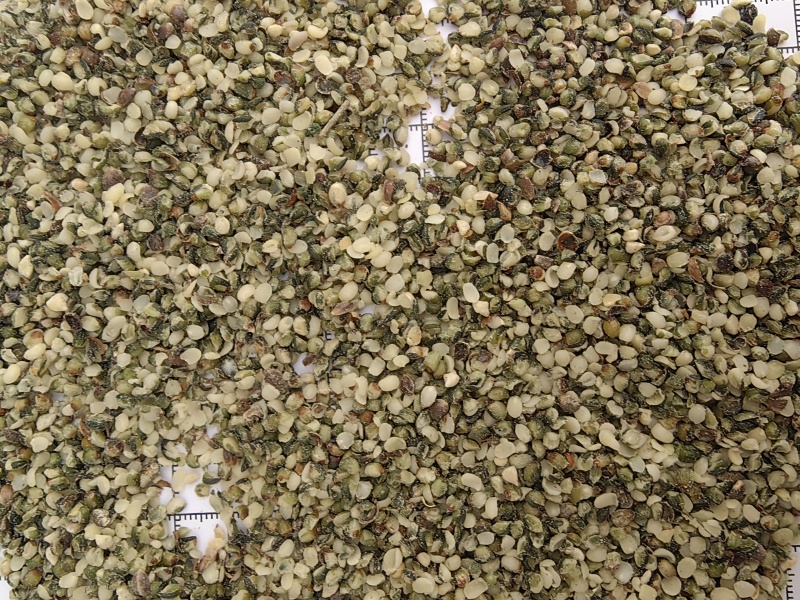 火麻仁去壳火麻仁优质货源产地直销一手货源批发各种中药材