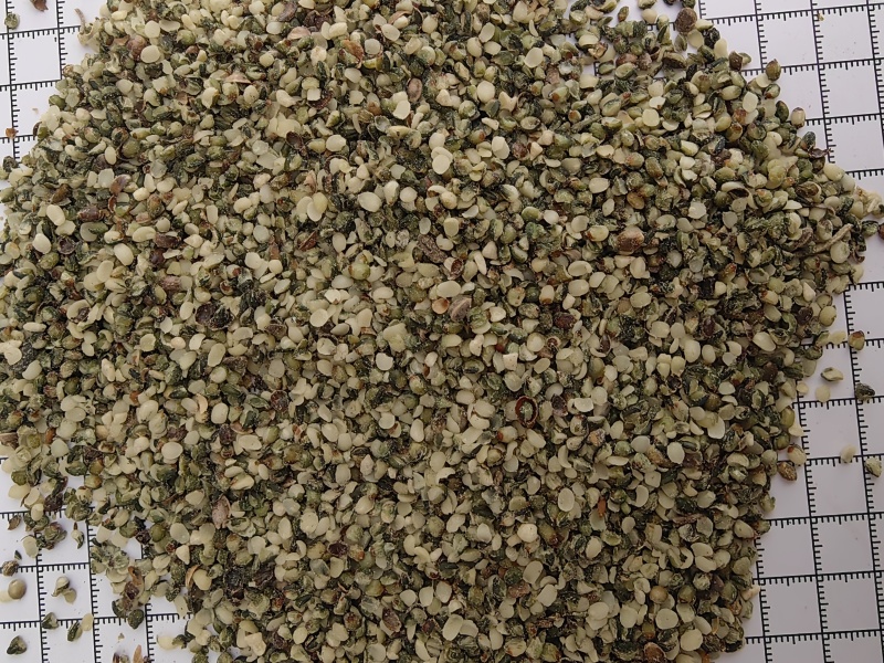 火麻仁去壳火麻仁优质货源产地直销一手货源批发各种中药材