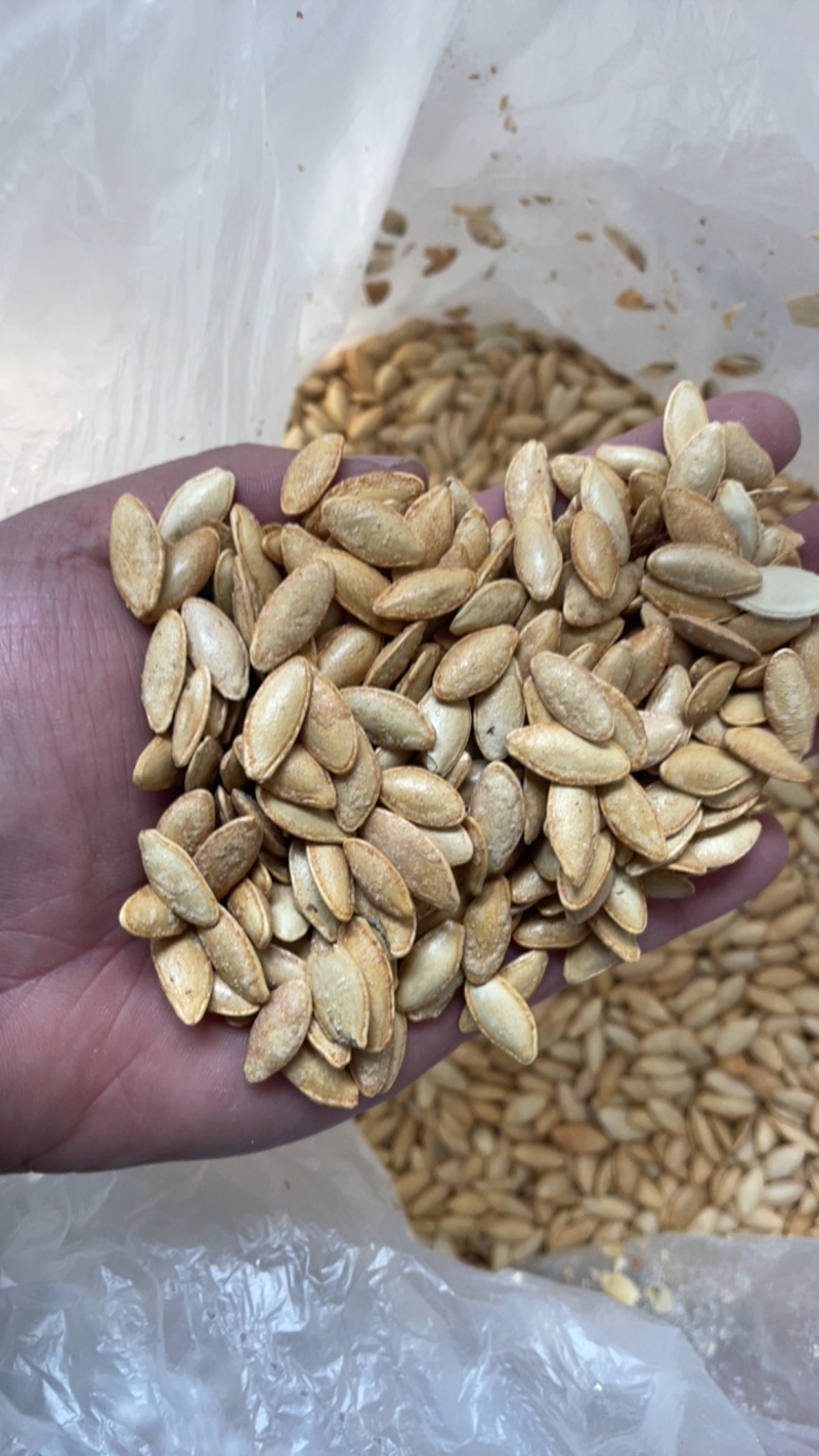 电商美人甲南瓜子支持一件貸发电商货椒盐美人甲原味