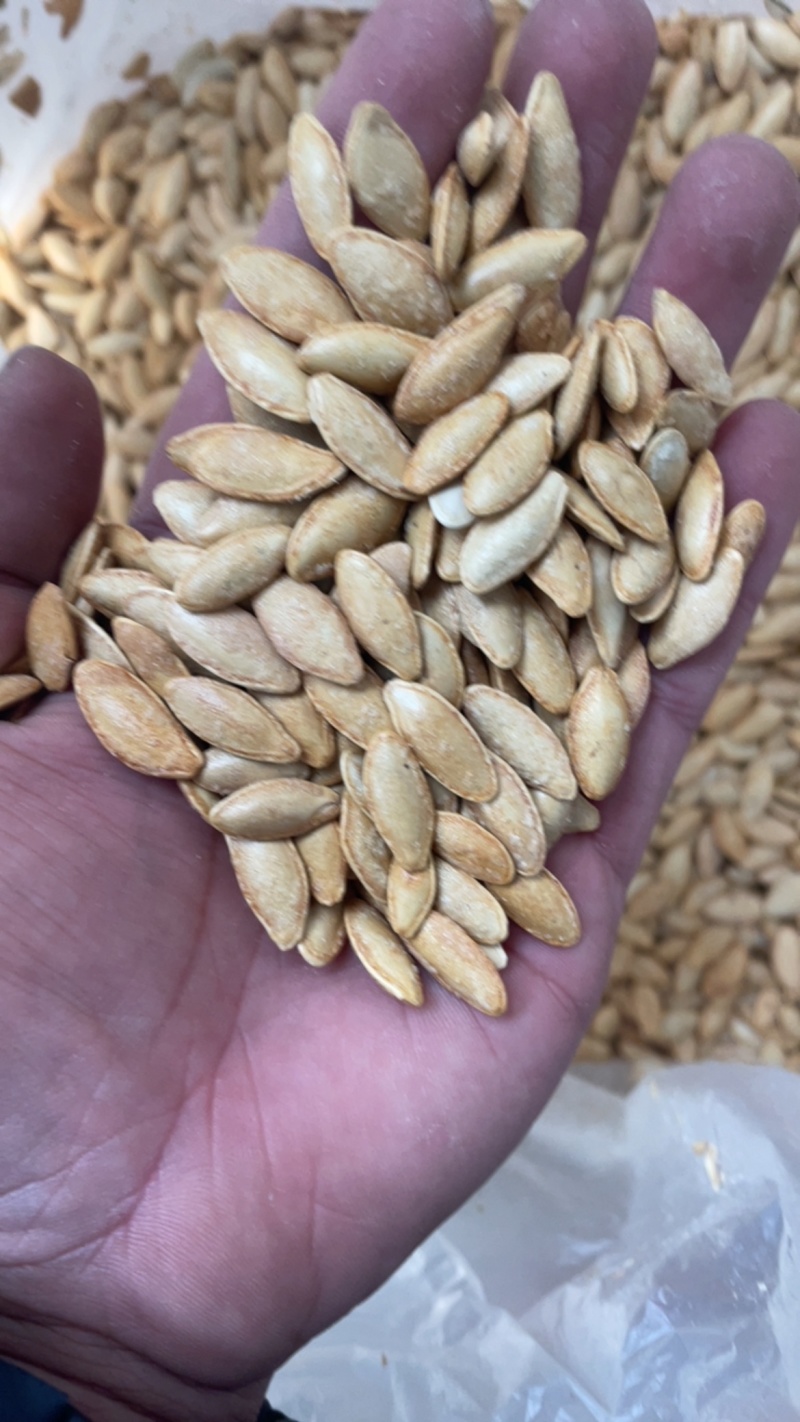 电商美人甲南瓜子支持一件貸发电商货椒盐美人甲原味