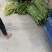 芋苗酸一手货源品质保障量大从优价格美丽