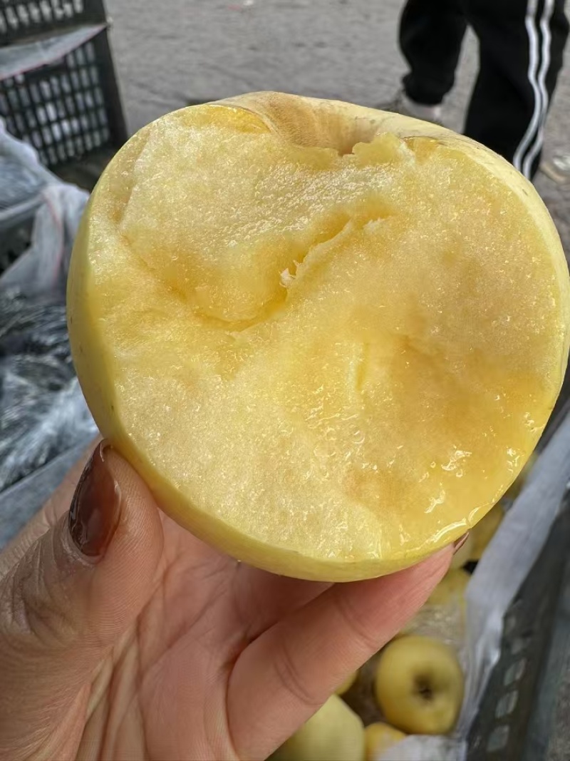 沂蒙山区正宗维纳斯黄金苹果