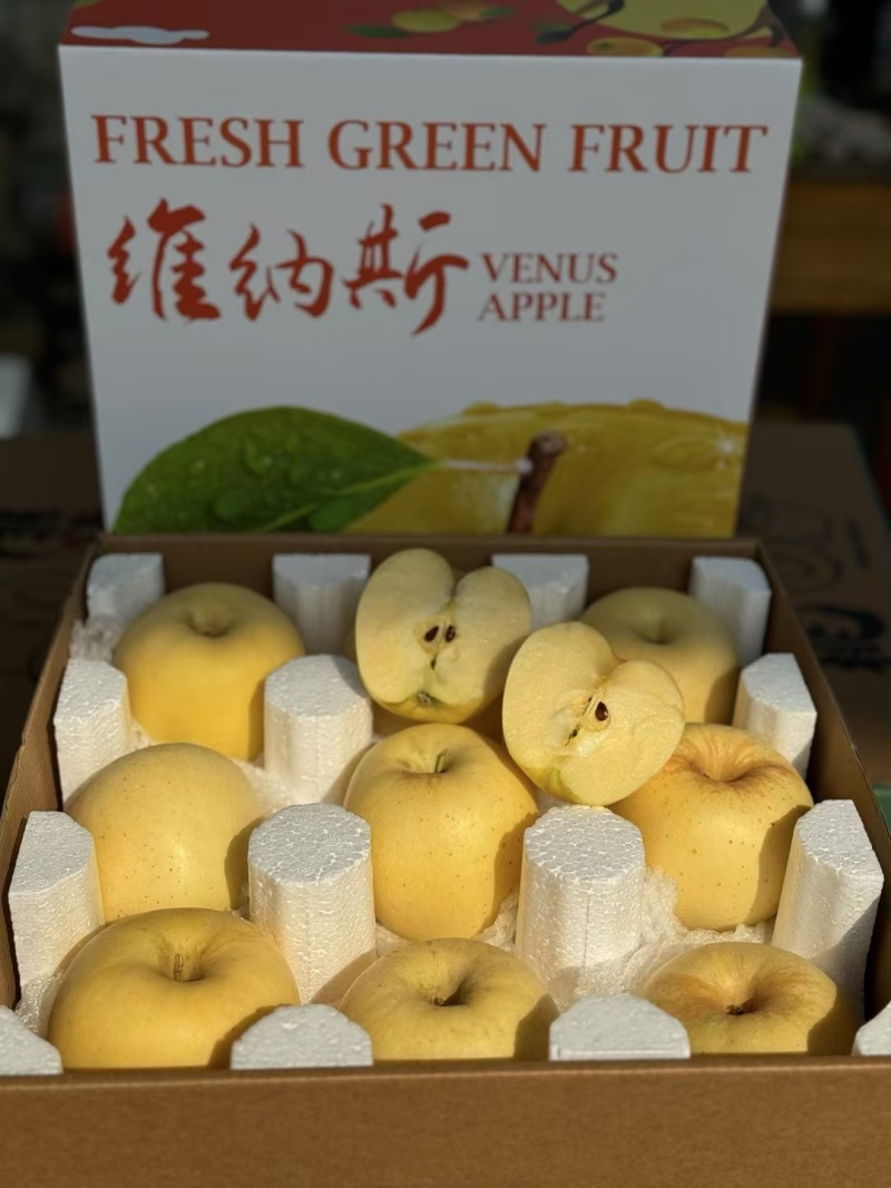 沂蒙山区正宗维纳斯黄金苹果
