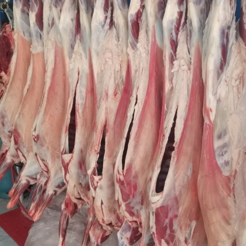 陕北横山山羊肉