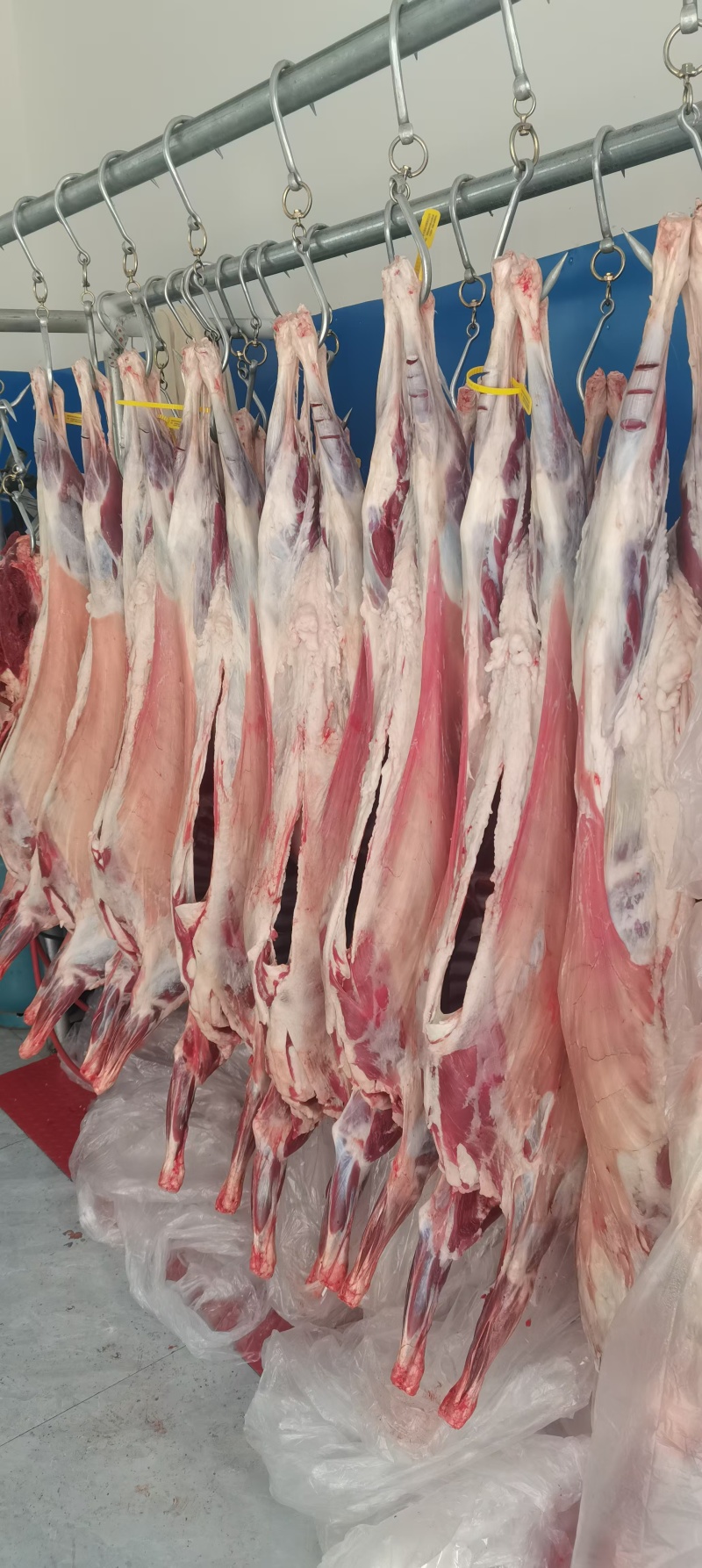 陕北横山山羊肉