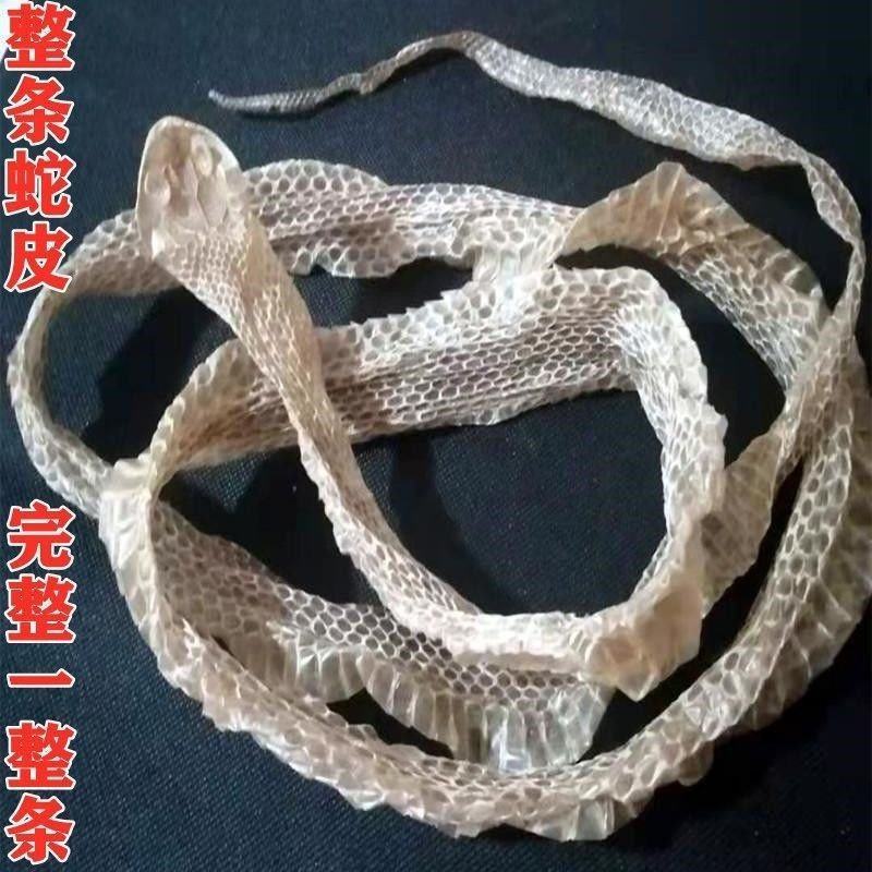 自然脱落一整条有头有尾蛇蜕蛇退龙衣蛇皮长虫皮青龙衣蛇壳中