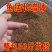 鱼饲料膨化上浮草鱼鲫鱼鲤鱼锦鲤淡水鱼通用观赏鱼50斤批发