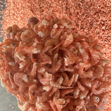 虾尾淡干虾尾精品好货电商地摊批发鱼伴虾纯干虾