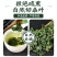今年新货霜后桑叶茶正品特级新鲜霜后桑叶搭中药材