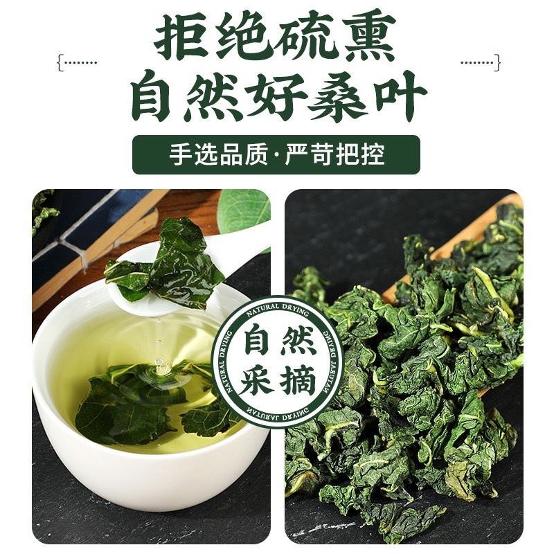 今年新货霜后桑叶茶正品特级新鲜霜后桑叶搭中药材
