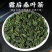 今年新货霜后桑叶茶正品特级新鲜霜后桑叶搭中药材