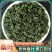 今年新货霜后桑叶茶正品特级新鲜霜后桑叶搭中药材