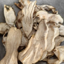 佛手广佛手康辰药业批发各种中药材量大从优