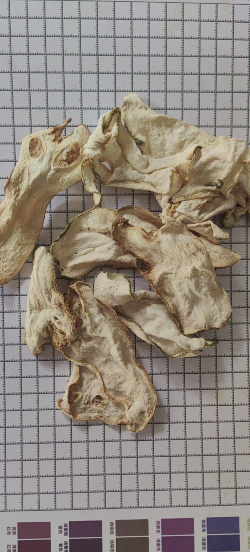 佛手广佛手康辰药业批发各种中药材量大从优