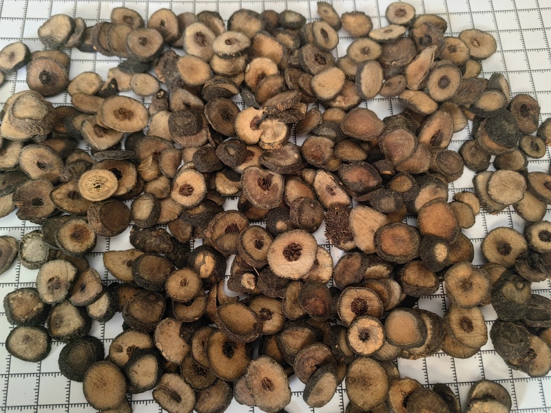 枳实麸炒枳实优质枳实片产地直发一手货源批发各种中药材