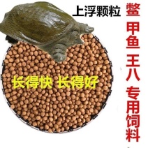 甲鱼饲料鳖饲料中华鳖水鱼团小甲鱼饲料王八珍珠鳖乌龟粮包邮