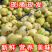 香沙蜜甜瓜种子花后28天左右成熟糖度20度易坐果吊爬可以