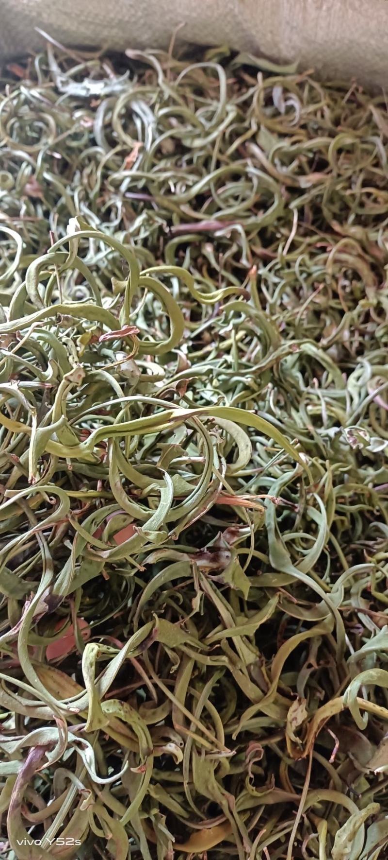 化石草各种规格的化石草产地直销量大从优需要的老板直接下单