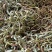 化石草各种规格的化石草产地直销量大从优需要的老板直接下单