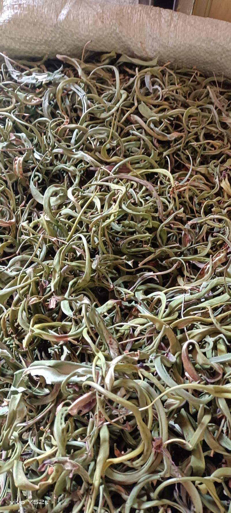 化石草各种规格的化石草产地直销量大从优需要的老板直接下单