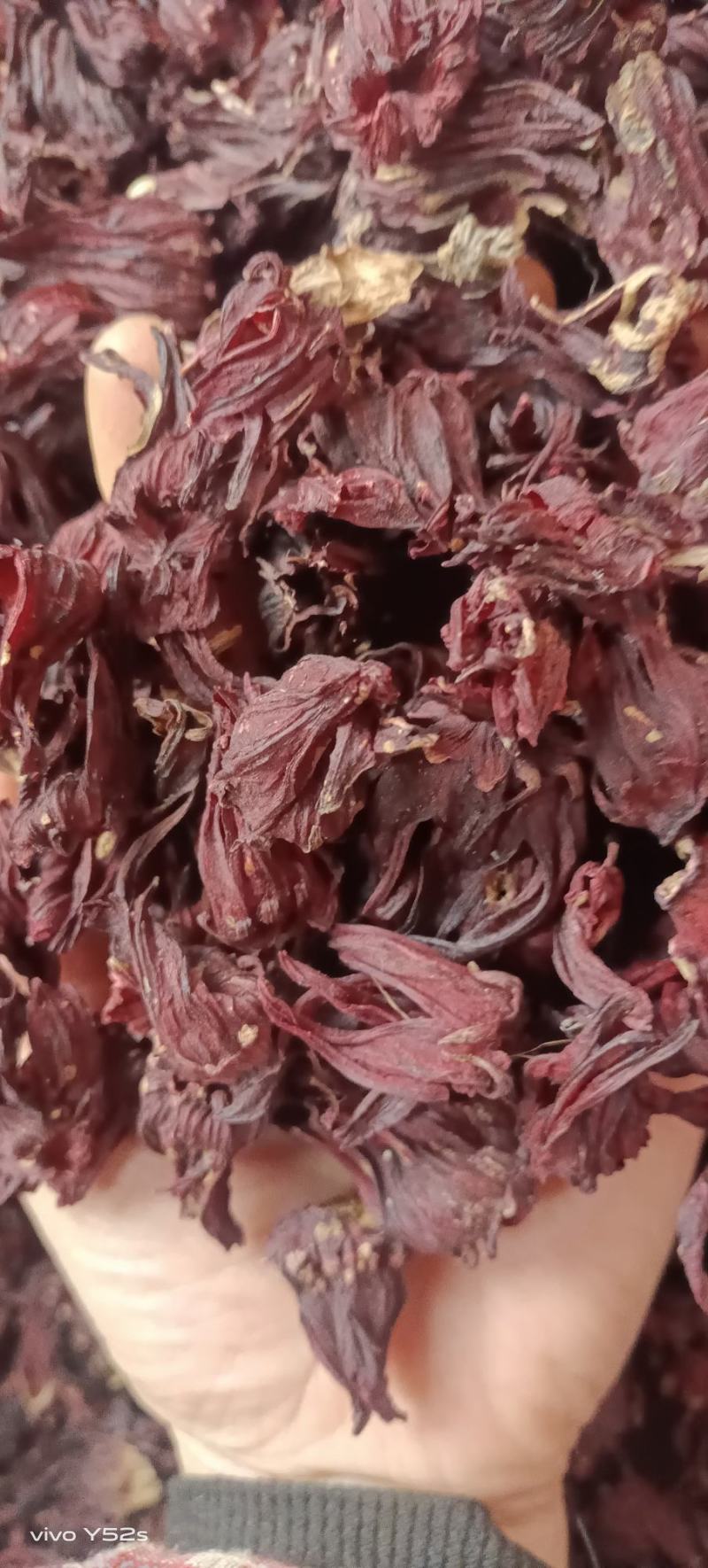 冻干络神花玫瑰茄络神花女神花各种花茶批发