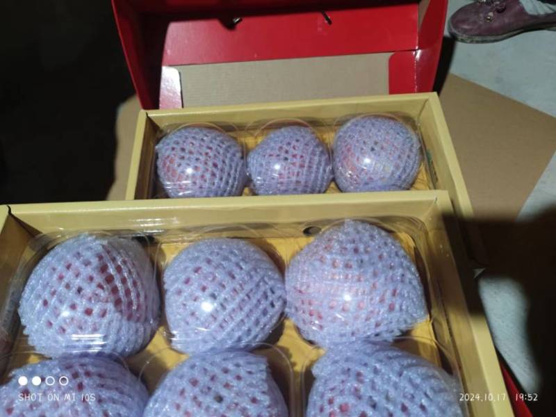 新疆阿克苏地区富士，量大质优，支持一件代发欢迎各老板联系