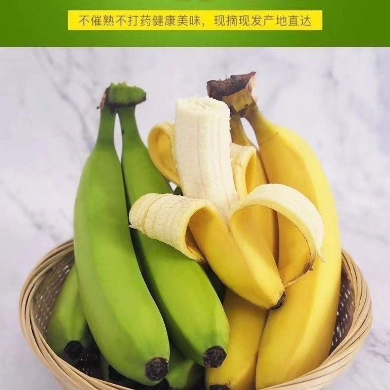云南高山大香蕉新鲜应季水果量上市