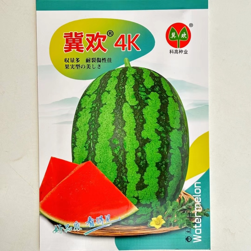 科高冀欢4K/冀欢2K西瓜种子果实椭圆形皮薄红肉高糖礼品