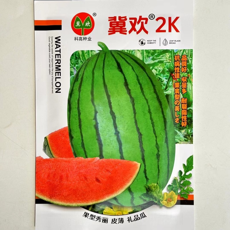科高冀欢4K/冀欢2K西瓜种子果实椭圆形皮薄红肉高糖礼品