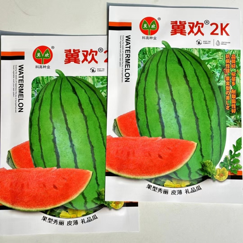 科高冀欢4K/冀欢2K西瓜种子果实椭圆形皮薄红肉高糖礼品