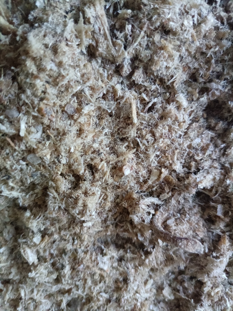 鱼干粉