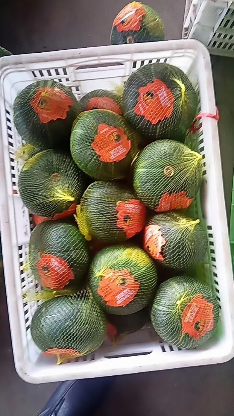 板栗南瓜口感特别好煮粥**之选