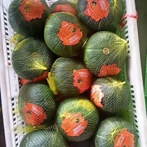 板栗南瓜口感特别好煮粥**之选