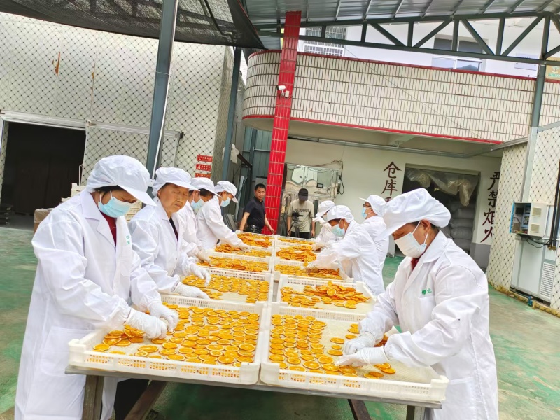 新货上市橙子香橙干水果袋装无糖橙子片纯手工切片即食装