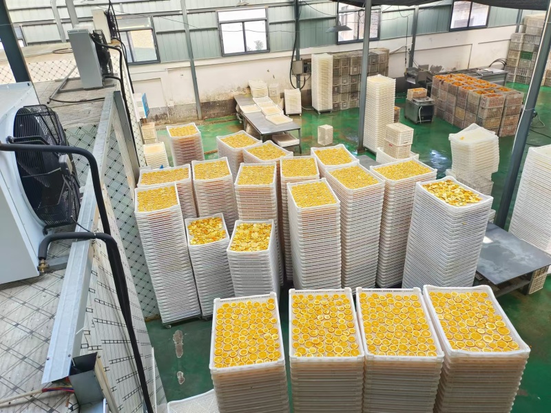 新货上市橙子香橙干水果袋装无糖橙子片纯手工切片即食装