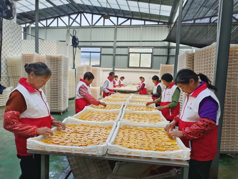 新货上市橙子香橙干水果袋装无糖橙子片纯手工切片即食装