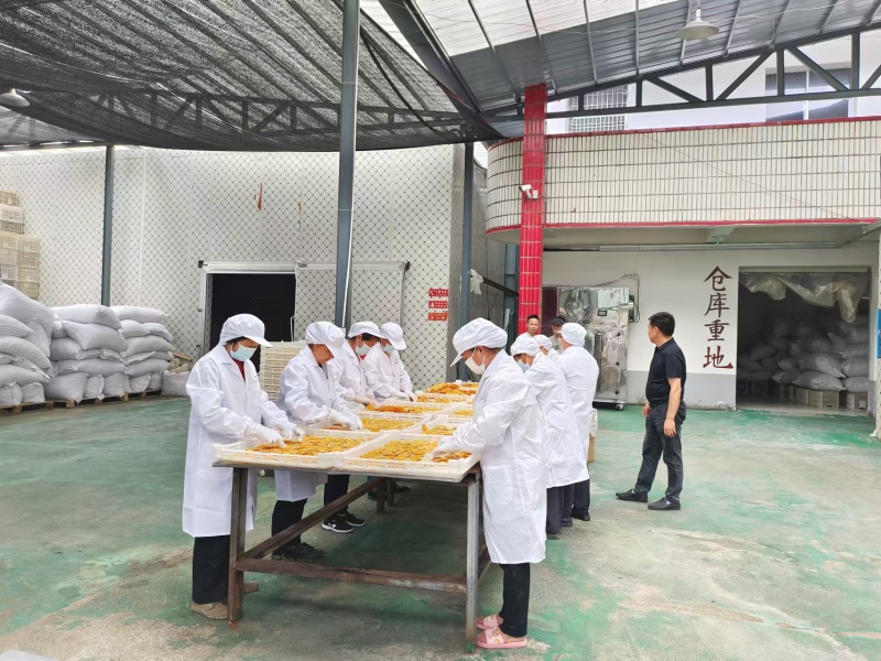 新货上市橙子香橙干水果袋装无糖橙子片纯手工切片即食装