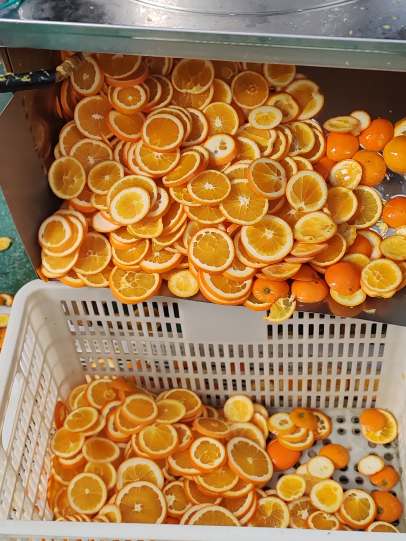 新货上市橙子香橙干水果袋装无糖橙子片纯手工切片即食装