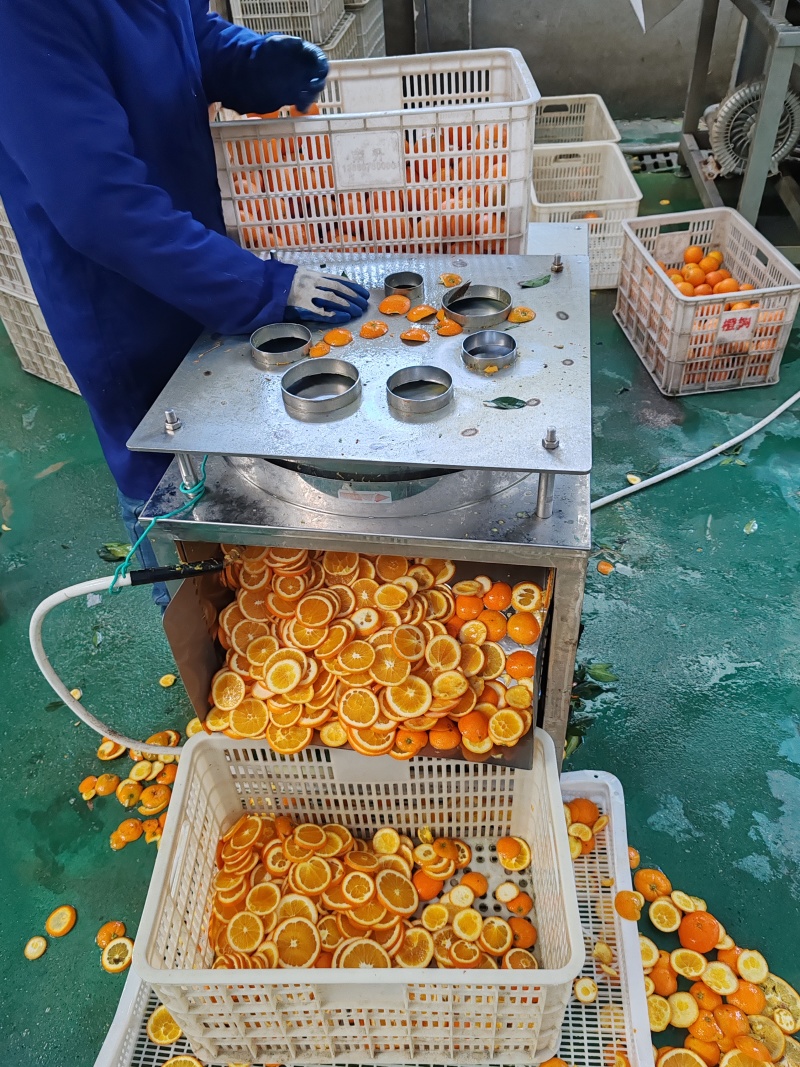 新货上市橙子香橙干水果袋装无糖橙子片纯手工切片即食装