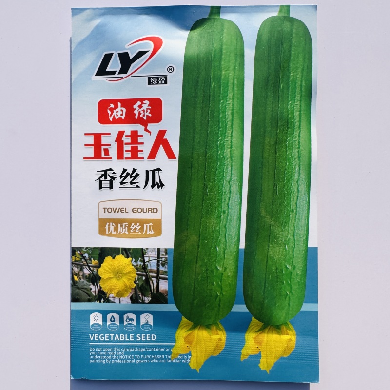 寿光油绿香丝瓜种子绿盈玉佳人油皮丝瓜种子短棒油亮味甜春秋