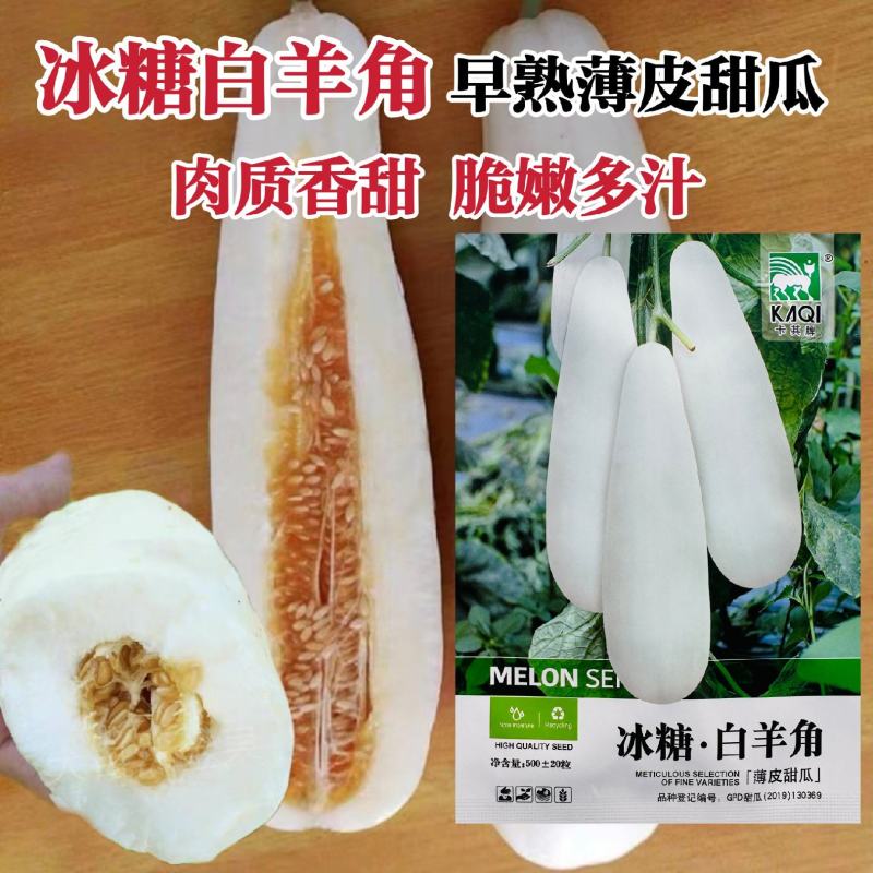 冰糖羊角甜瓜种子薄皮白皮羊角酥种子香瓜酥脆嫩高产香甜