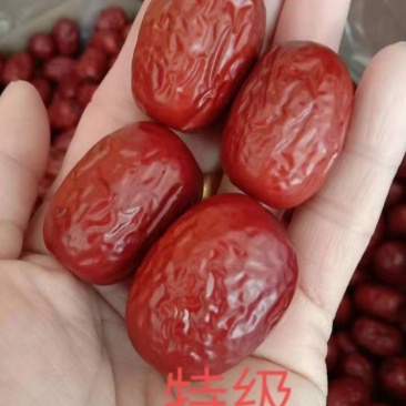 灰枣特级