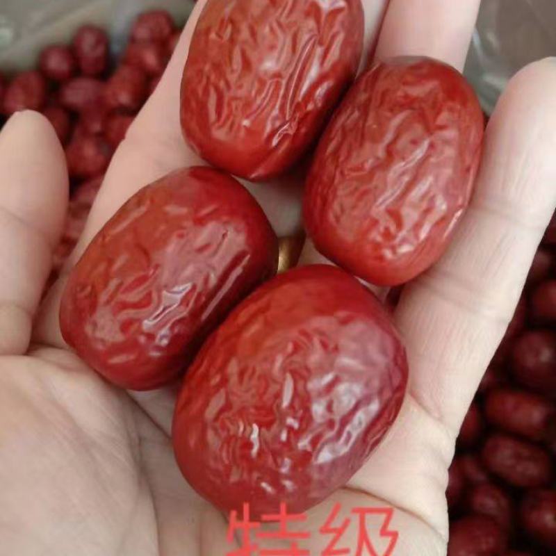 灰枣特级