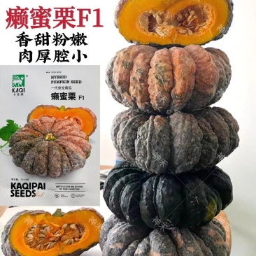 卡其癞蜜栗南瓜种子杂交一代南瓜种籽嫩瓜老瓜两用香甜南瓜种